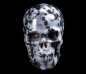 Preview: Gabbro Skull